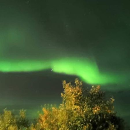 Aurora Rooms In Shared Apartment Nr2 We Are Doing Privet Northen Lights Trips, Reindeer Trip And Fjord Sommaroy Trip 特罗姆瑟 外观 照片