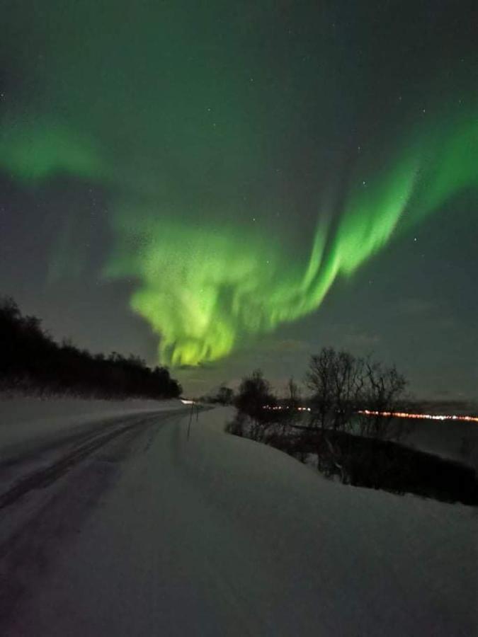 Aurora Rooms In Shared Apartment Nr2 We Are Doing Privet Northen Lights Trips, Reindeer Trip And Fjord Sommaroy Trip 特罗姆瑟 外观 照片