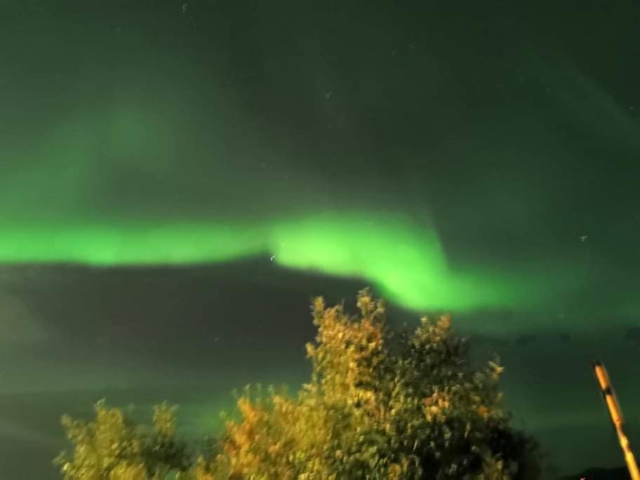 Aurora Rooms In Shared Apartment Nr2 We Are Doing Privet Northen Lights Trips, Reindeer Trip And Fjord Sommaroy Trip 特罗姆瑟 外观 照片